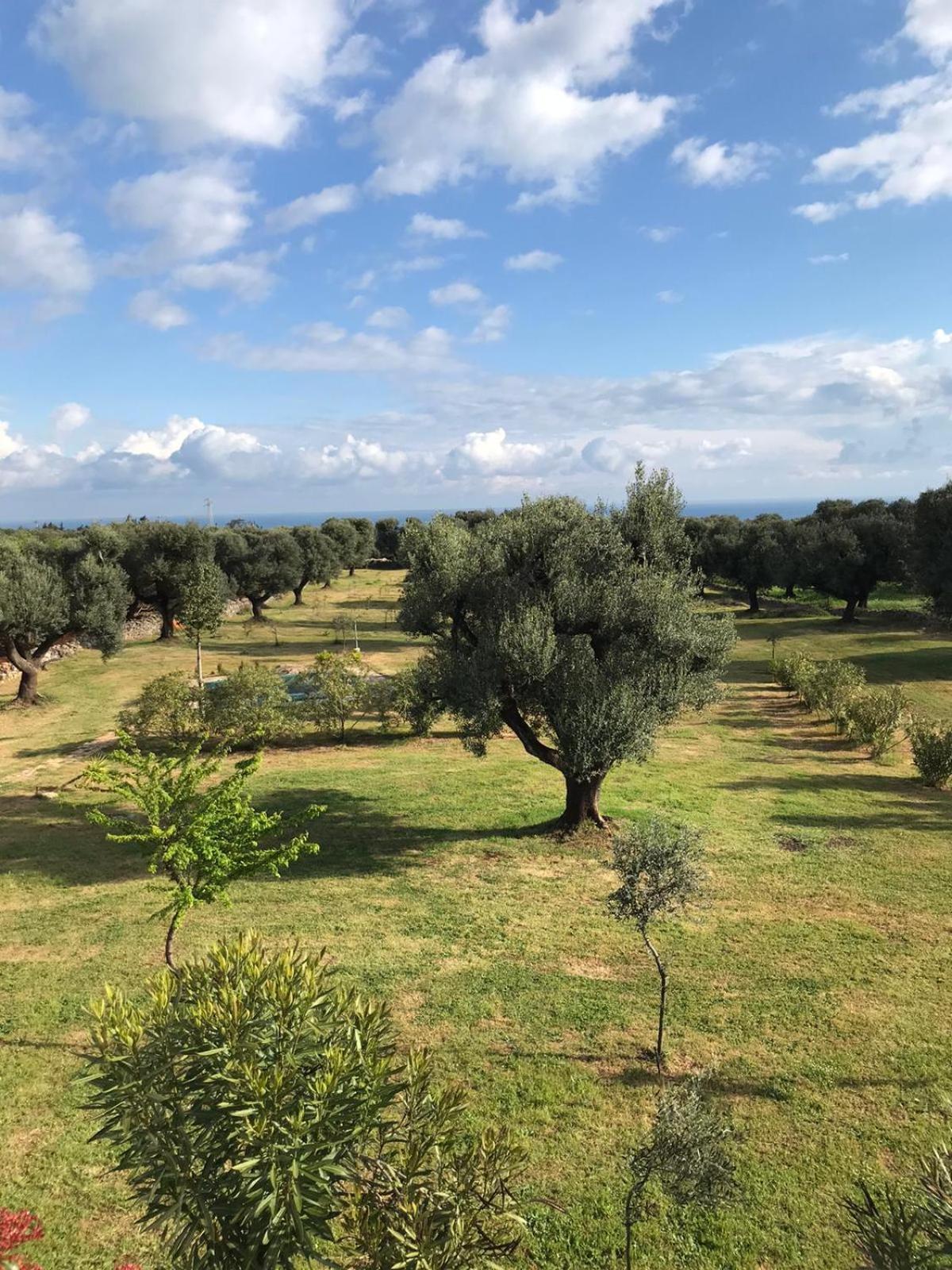 Sol Invictus Est Villa Serranova Bagian luar foto