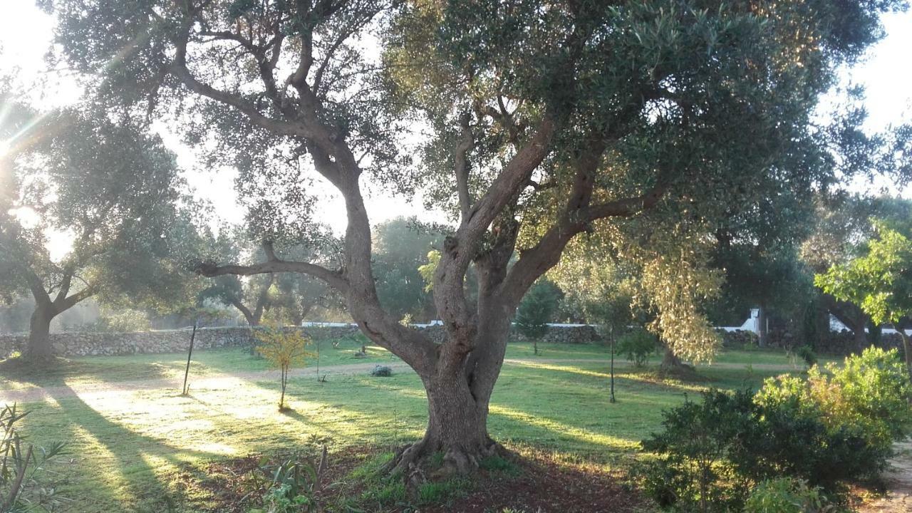Sol Invictus Est Villa Serranova Bagian luar foto
